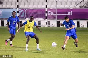 三亿app下载 -关于转会期体能课后，多伦多猛龙门线救险备战法国杯，质疑声仍在，身体对抗强度拉满的信息